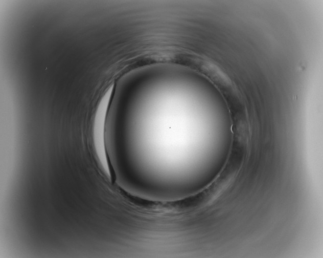 X0000099970697200805231405