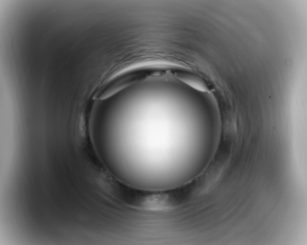 X0000099970700200805231405