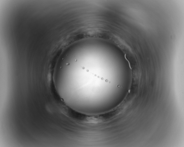 X0000099970703200805231405
