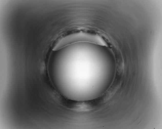 X0000099970704200805231405