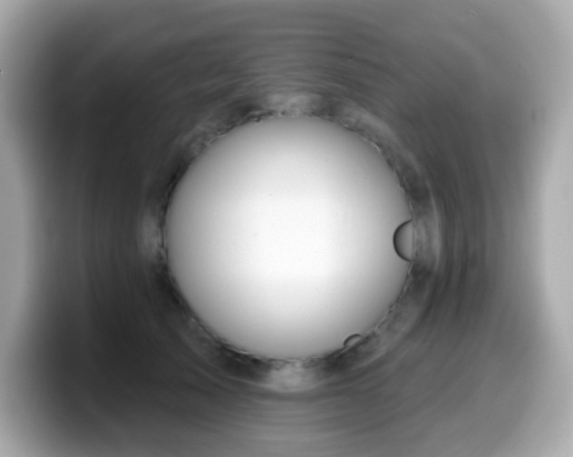 X0000099970705200805231405