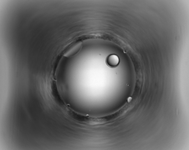 X0000099970707200805231405