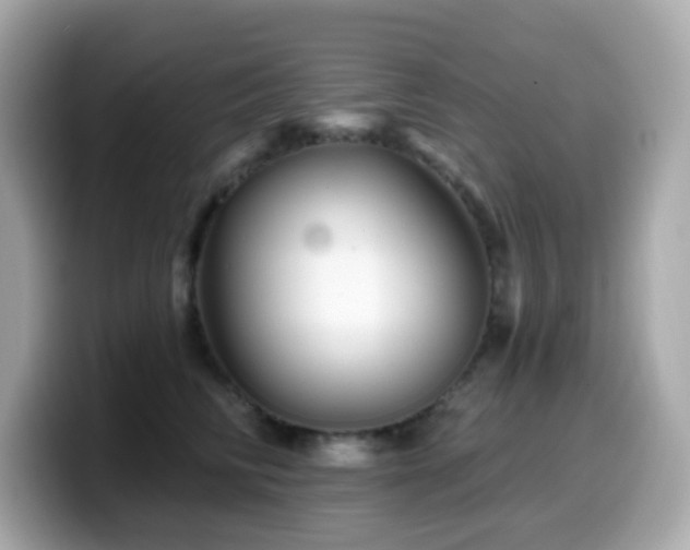 X0000099970710200805231405