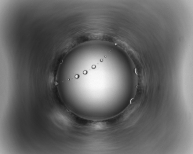 X0000099970711200805231405