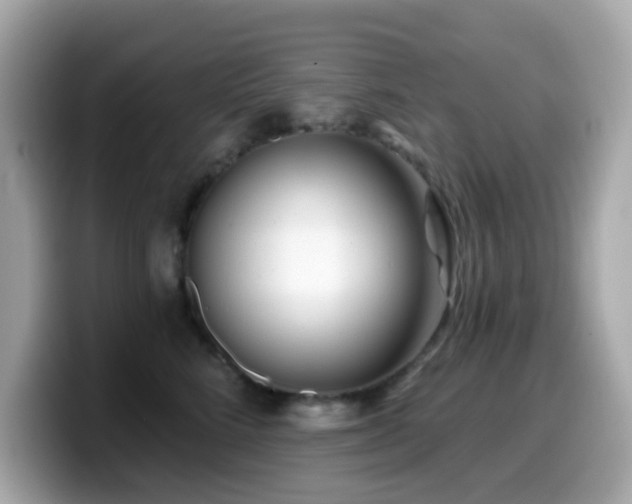 X0000099970712200805231405