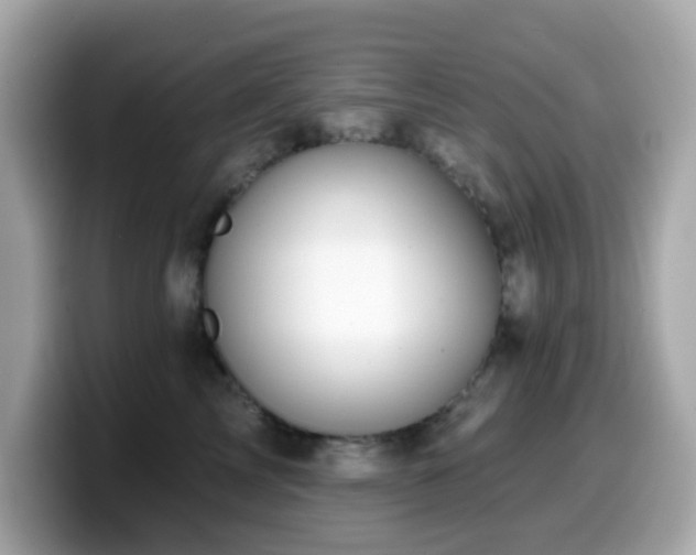 X0000099970713200805231405