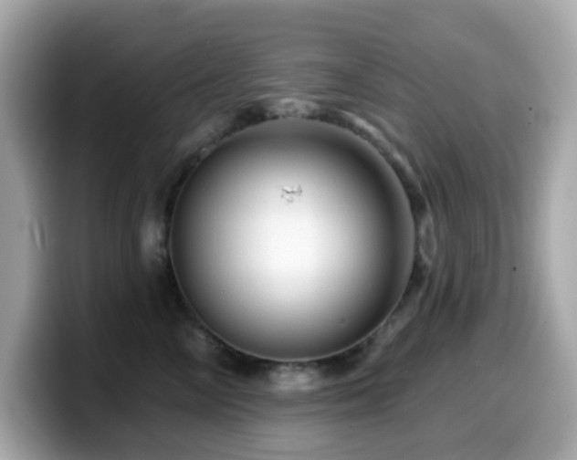 X0000099970714200805231405