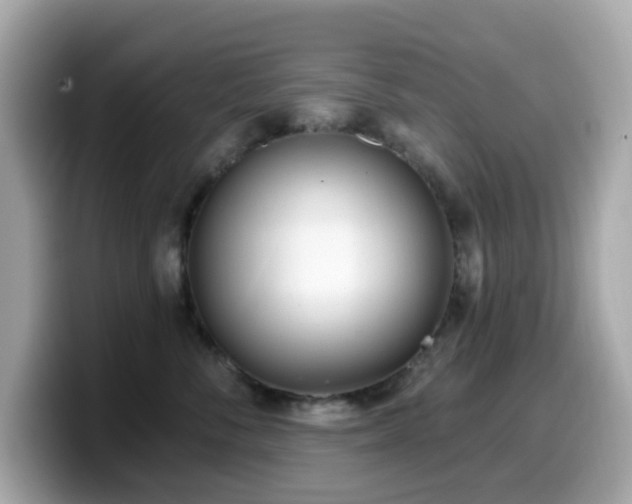X0000099970716200805231405