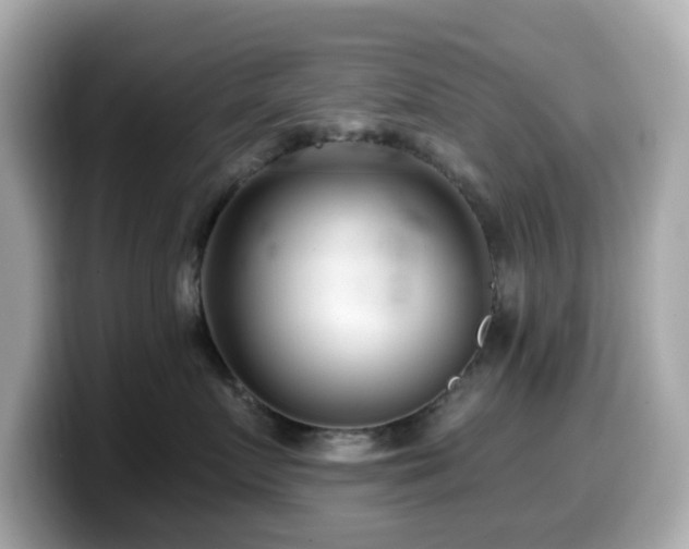 X0000099970719200805231405