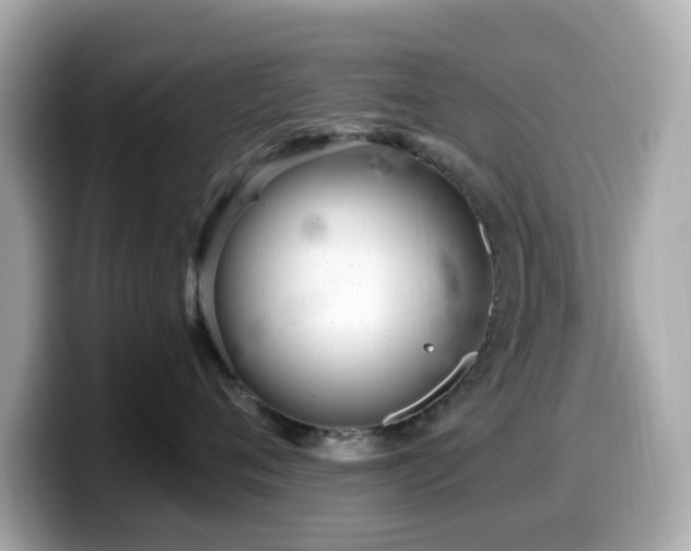 X0000099970720200805231405