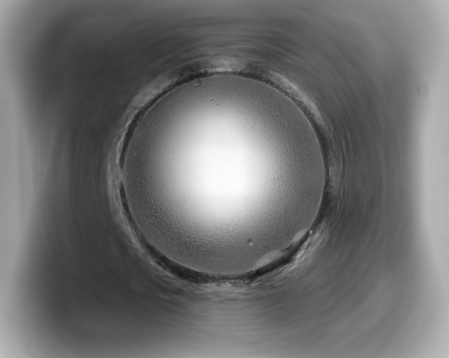 X0000099970721200805231404