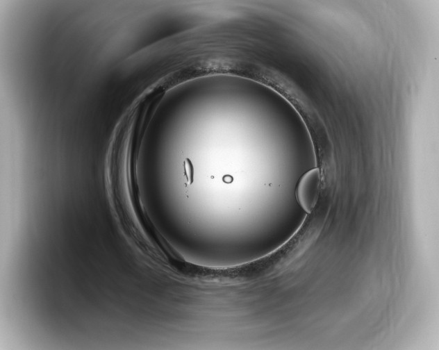 X0000099970722200805231404