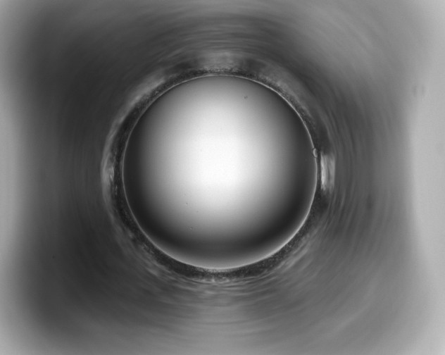 X0000099970723200805231404