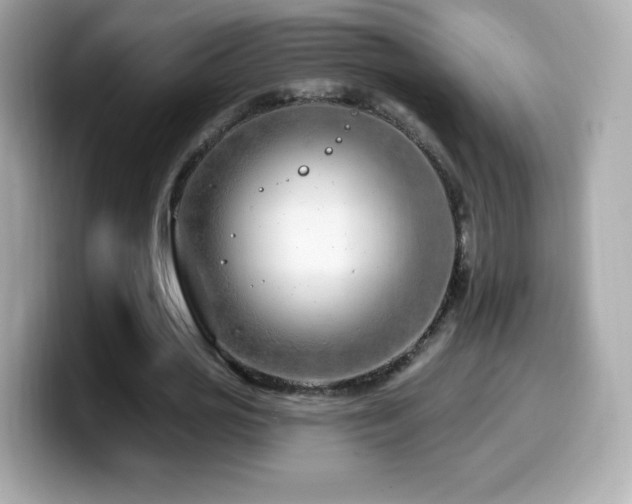 X0000099970725200805231404