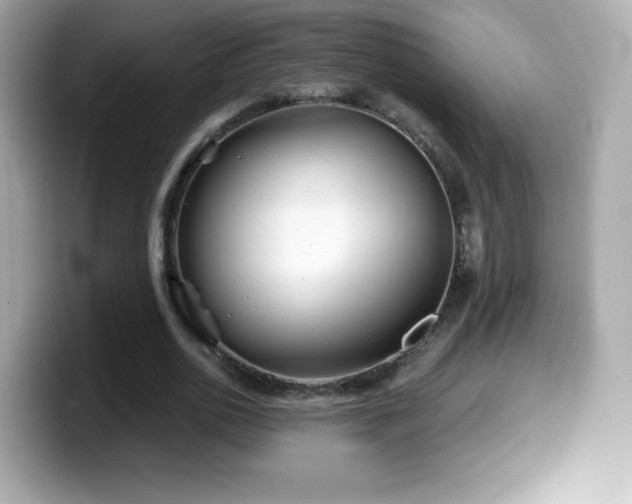 X0000099970726200805231404