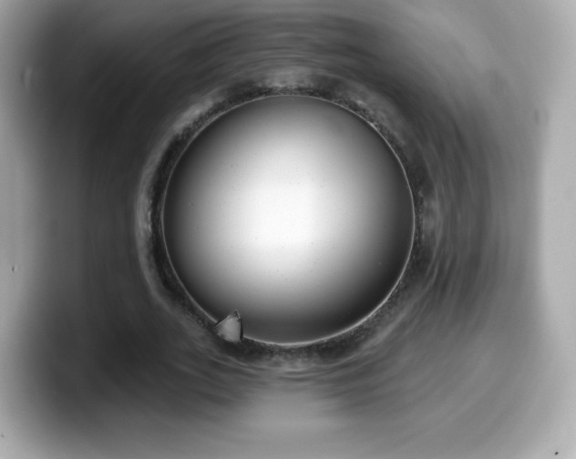X0000099970727200805231404