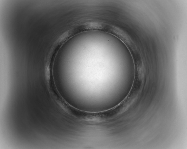 X0000099970729200805231404