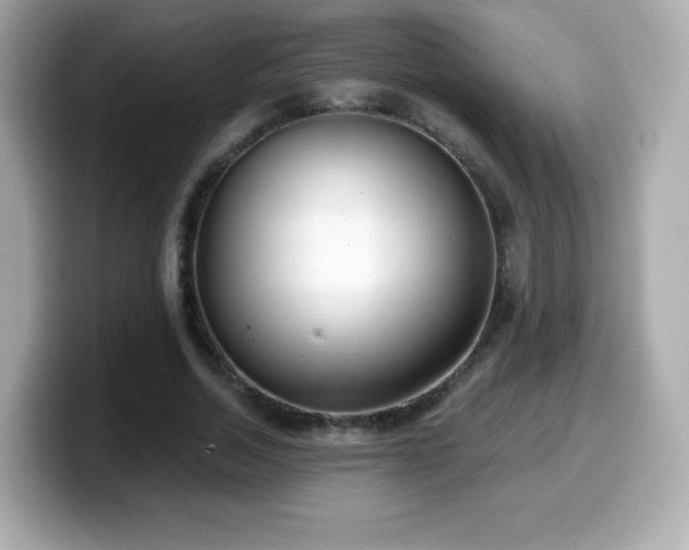 X0000099970730200805231404
