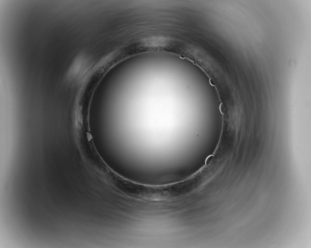 X0000099970731200805231404