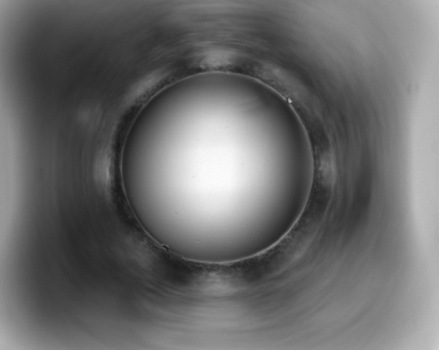 X0000099970732200805231404