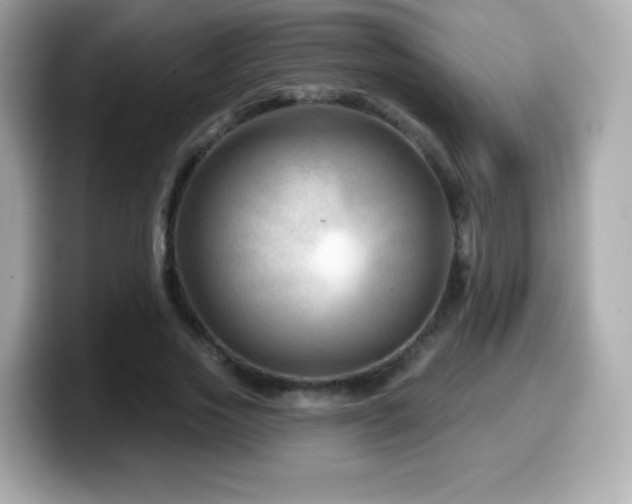 X0000099970733200805231404