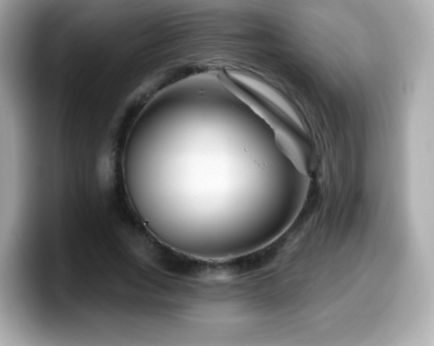 X0000099970735200805231404