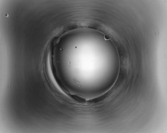 X0000099970738200805231404