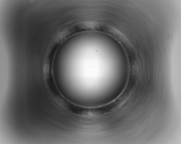 X0000099970739200805231404