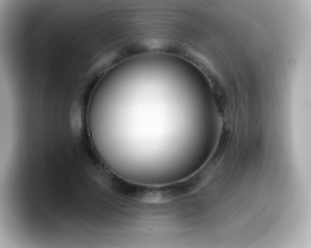 X0000099970740200805231404