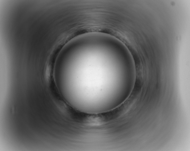 X0000099970742200805231404