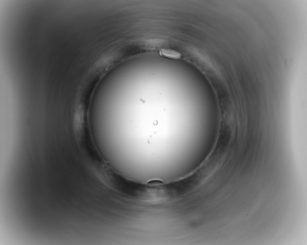 X0000099970744200805231404