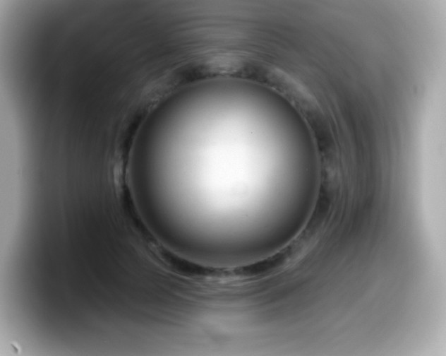 X0000099970745200805231404