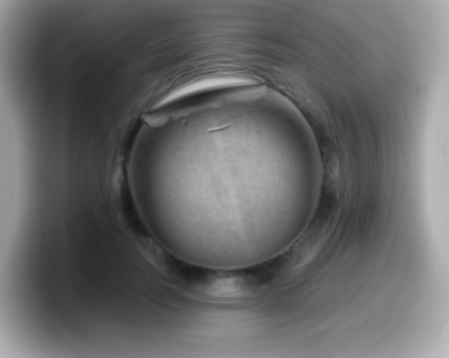 X0000099970746200805231404
