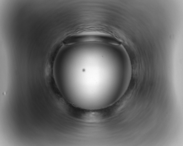 X0000099970748200805231404