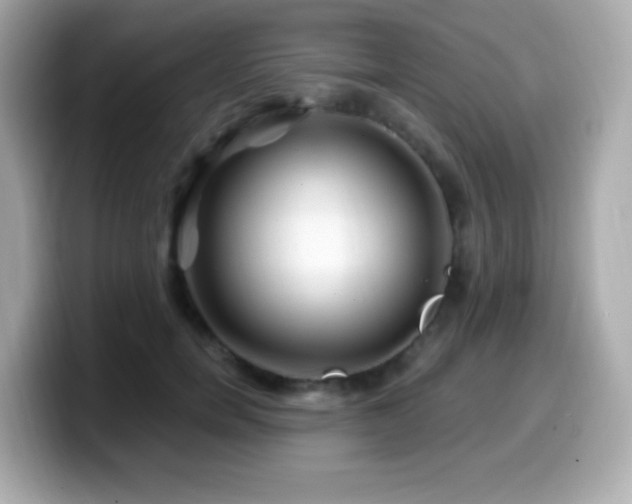 X0000099970750200805231404