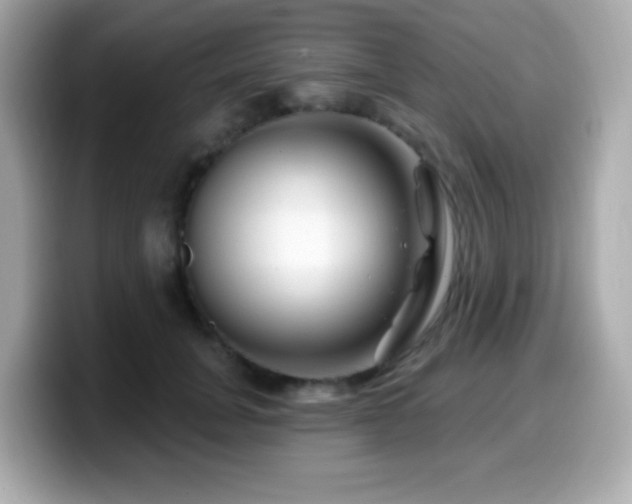 X0000099970751200805231404