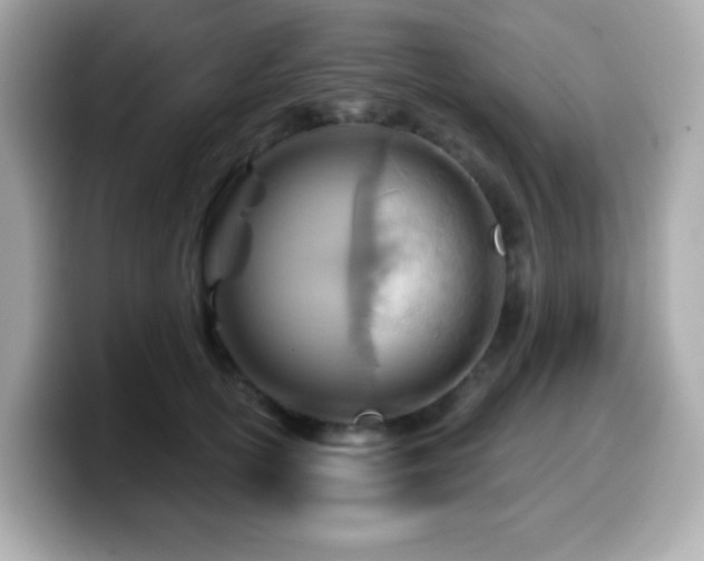 X0000099970754200805231405