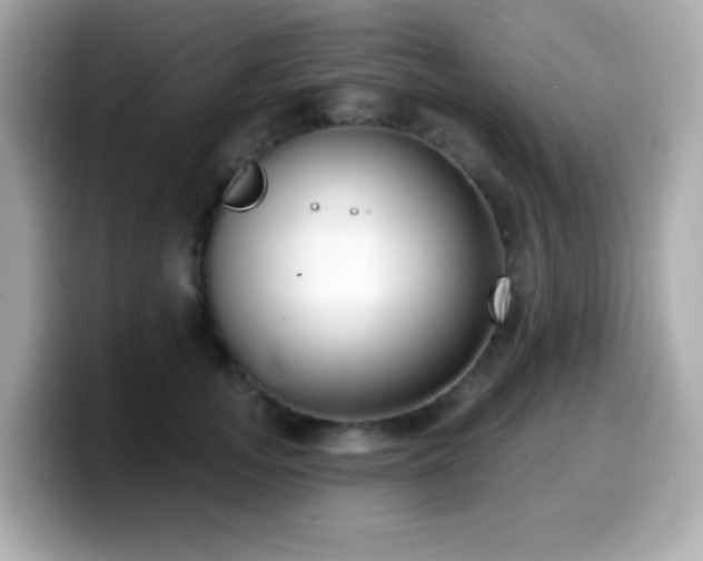 X0000099970755200805231405