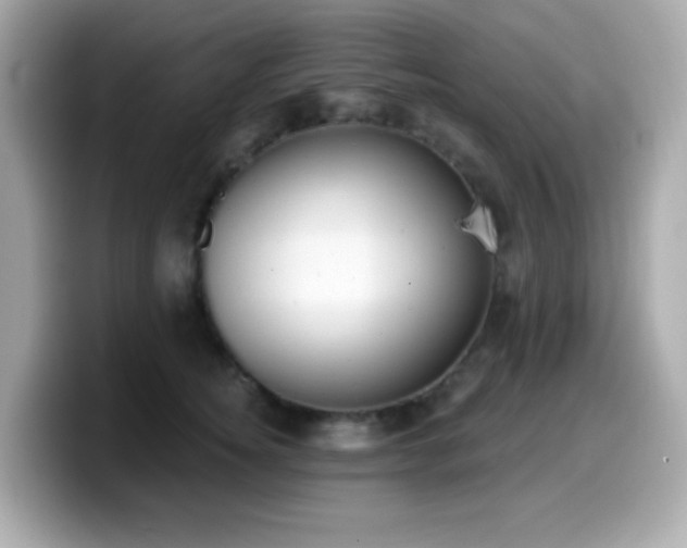 X0000099970756200805231405