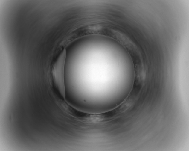 X0000099970758200805231405