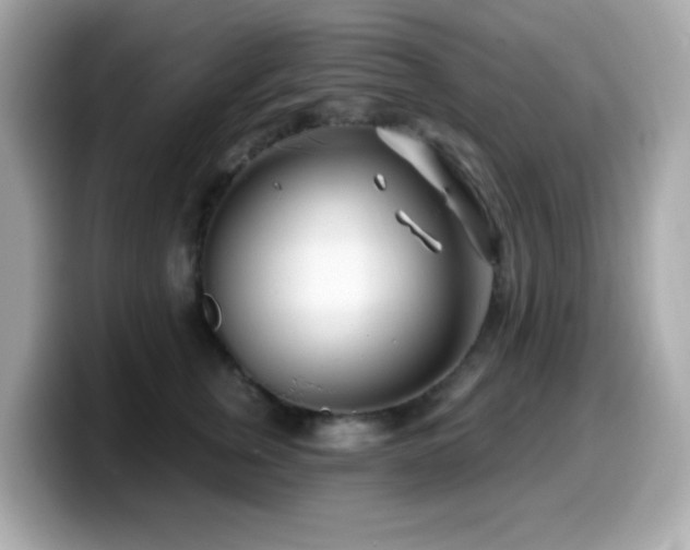 X0000099970759200805231405