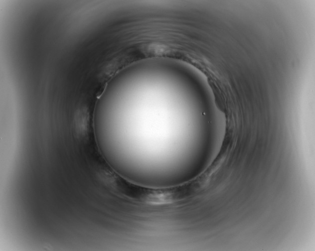 X0000099970760200805231405
