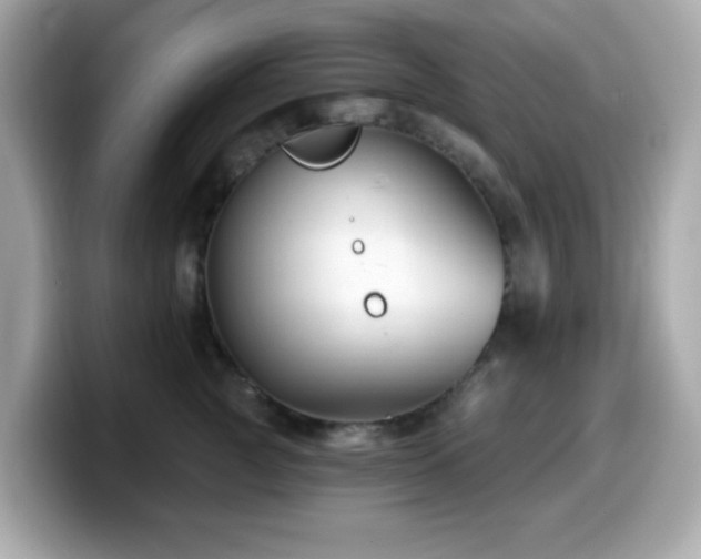 X0000099970761200805231405