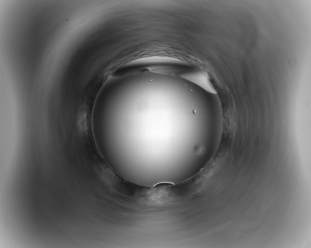X0000099970762200805231405