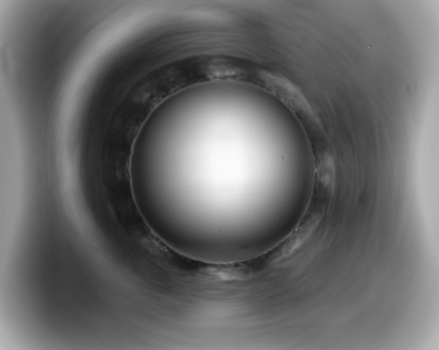 X0000099970763200805231405