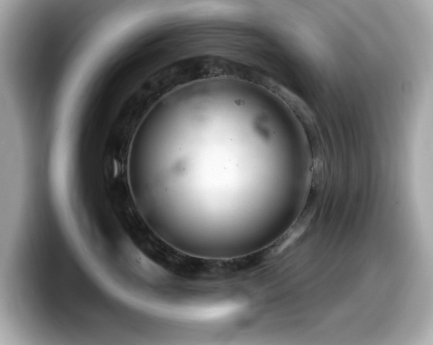 X0000099970765200805231405