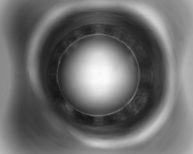 X0000099970766200805231405