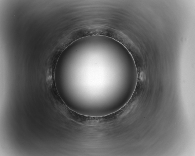 X0000099970771200805231404