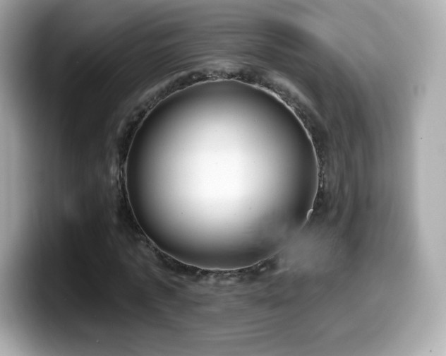 X0000099970773200805231404