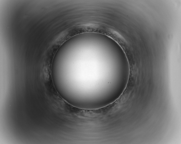 X0000099970774200805231404